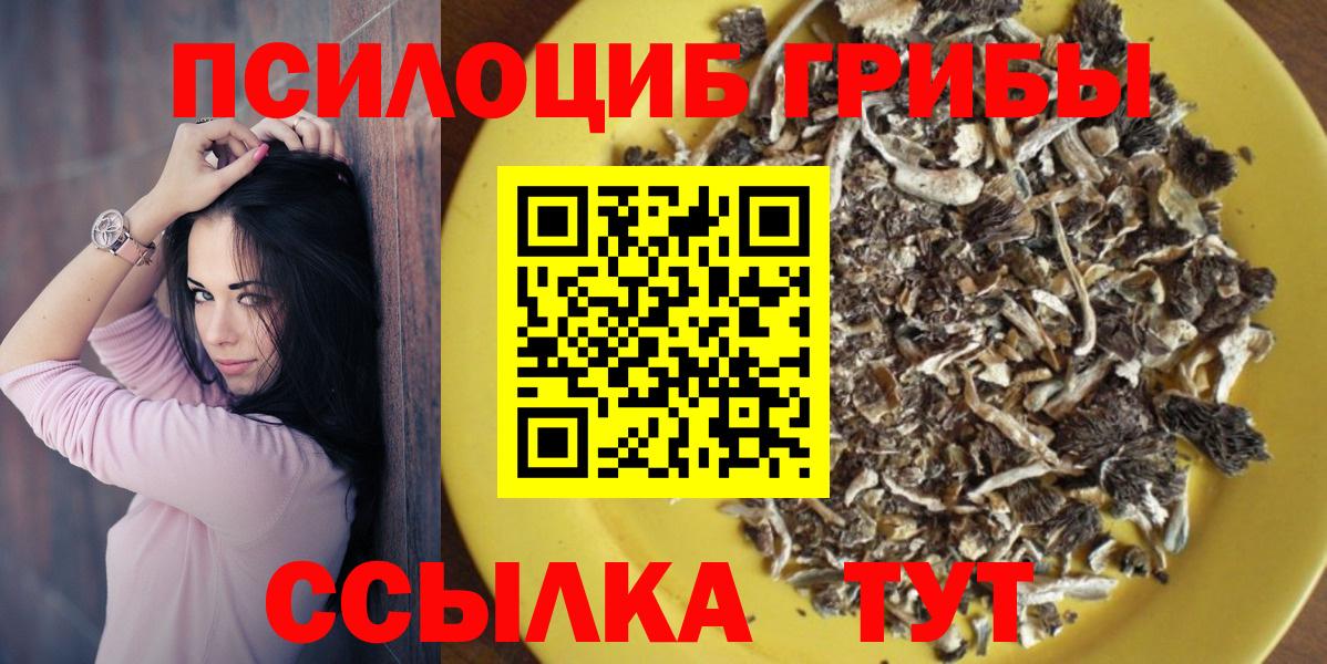 Артём  Галлюциногенные грибы MAGIC MUSHROOMS  Вход с VPN 